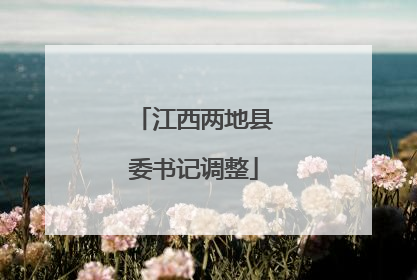 江西两地县委书记调整